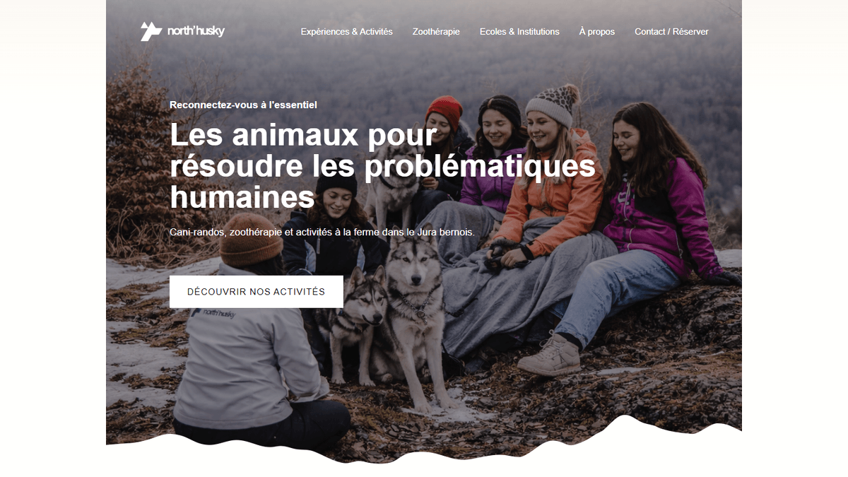 Aperçu du projet North Husky