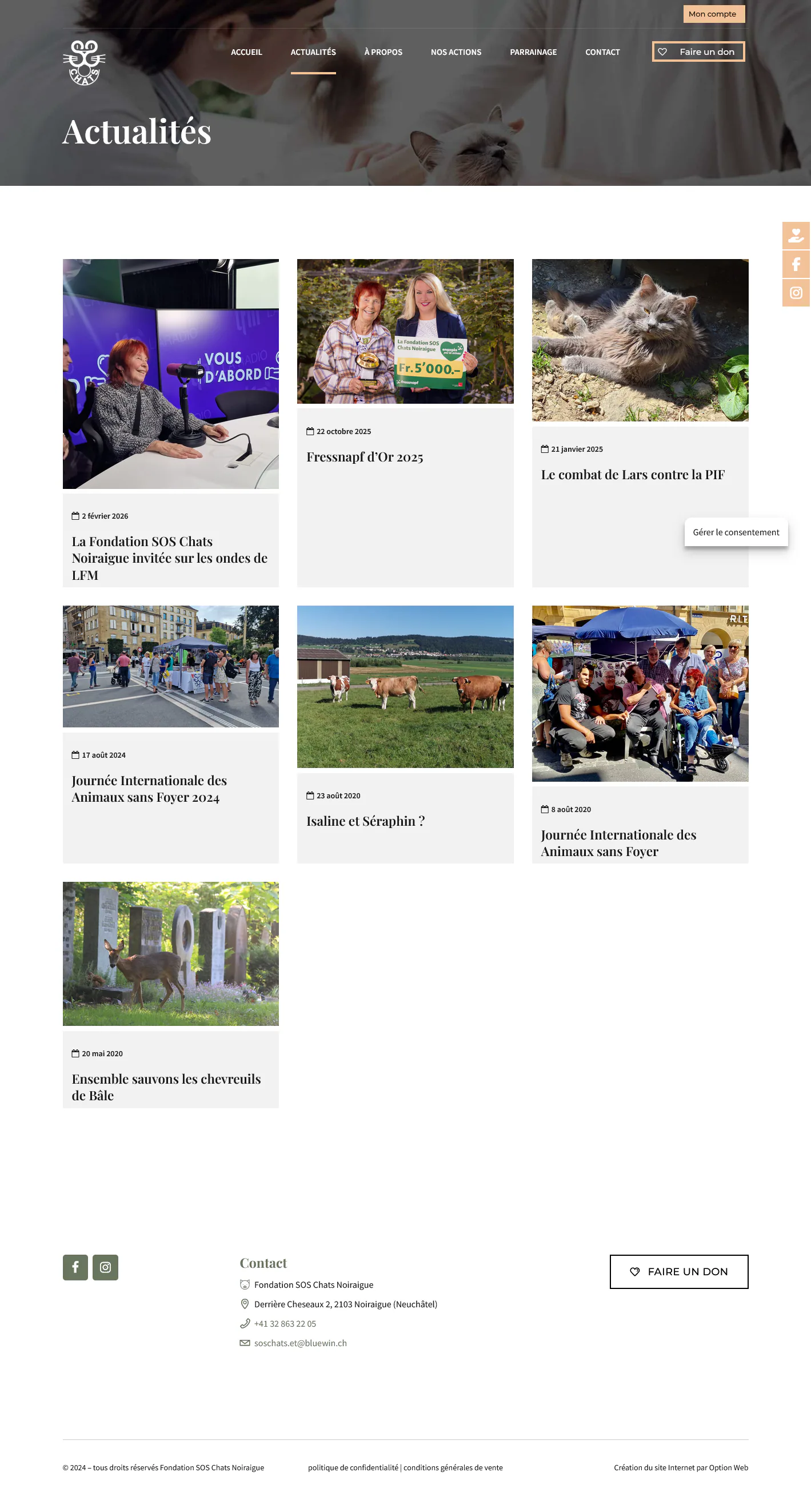 Liste des actualités de la Fondation SOS Chats Noiraigue.